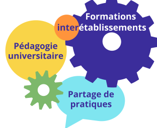 Image décorative sur les formations interétablissements en pédagogie universitaire et partage de pratiques
