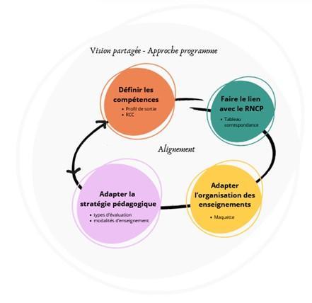 Schéma représentant le cycle de l'approche programme : définir des compétences, faire le lien avec le RNCP, adapter l'organisation des enseignements, adapter la stratégie pédagogique